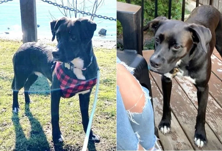 HAPPY ENDINGS - NANAIMO BC. / ROCKY / JULY 7, 2024