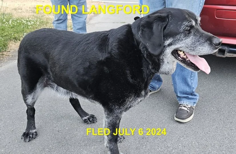 HAPPY ENDINGS - LANGFORD BC. / JULY 6, 2024