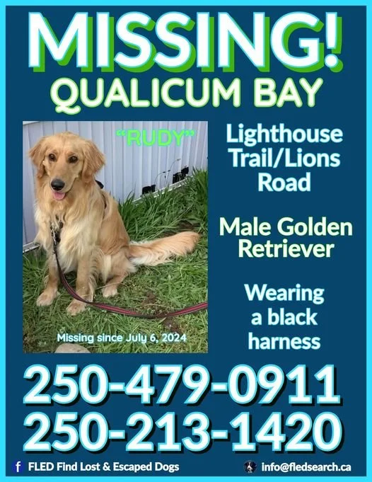 HAPPY ENDINGS - QUALICUM BAY BC. / RUDY / JULY 6, 2024