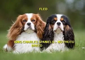 HAPPY ENDINGS - VICTORIA BC. / JULY 6, 2024