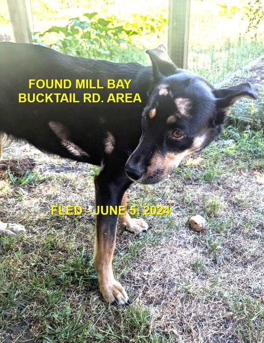 UNRESOLVED - MILL BAY BC. / JULY 5, 2024