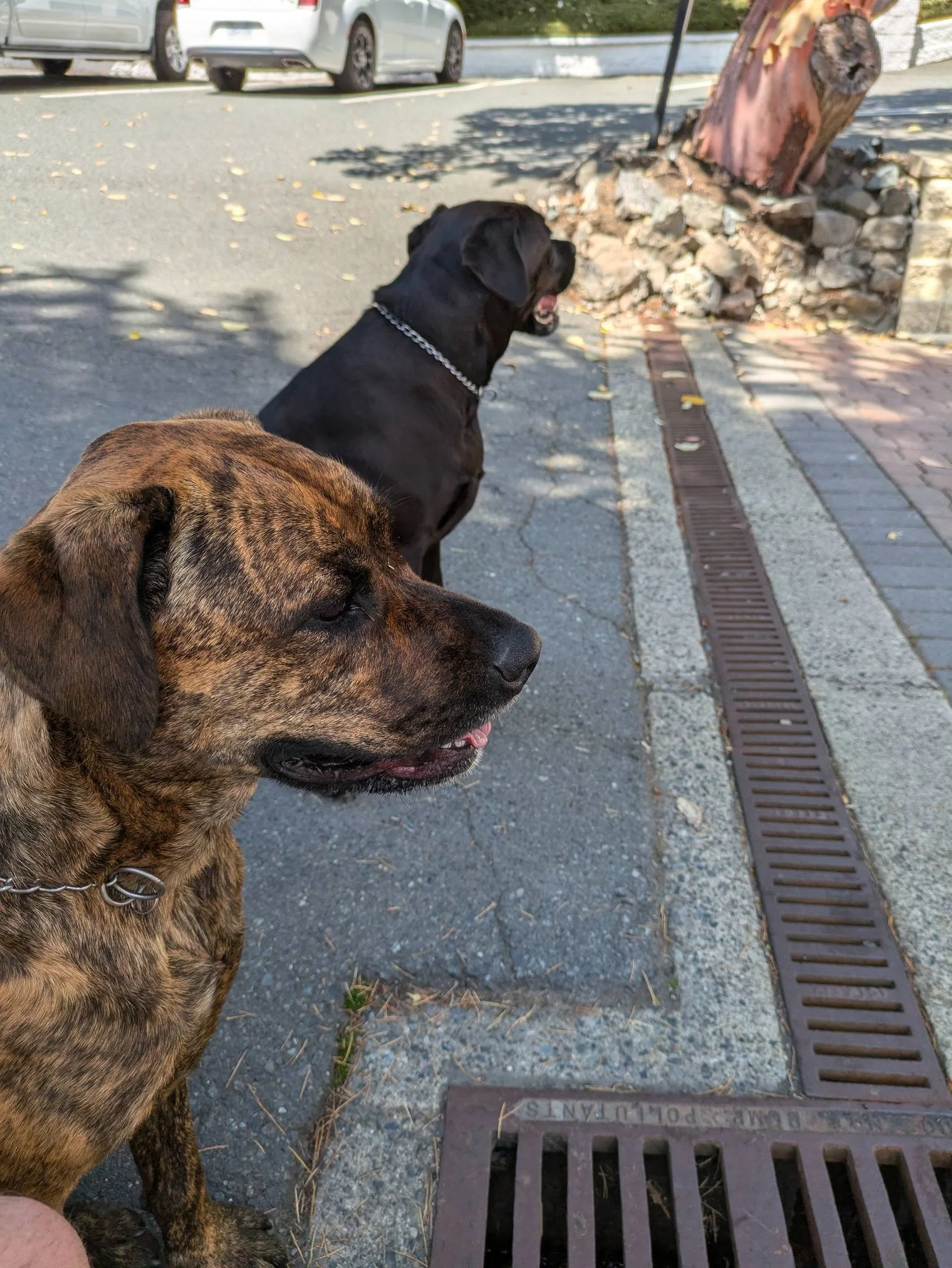 HAPPY ENDINGS - MALAHAT BC. / JULY 2, 2024