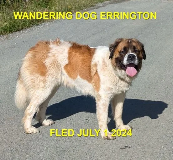 UNRESOLVED - ERRINGTON BC. / JULY 1, 2024