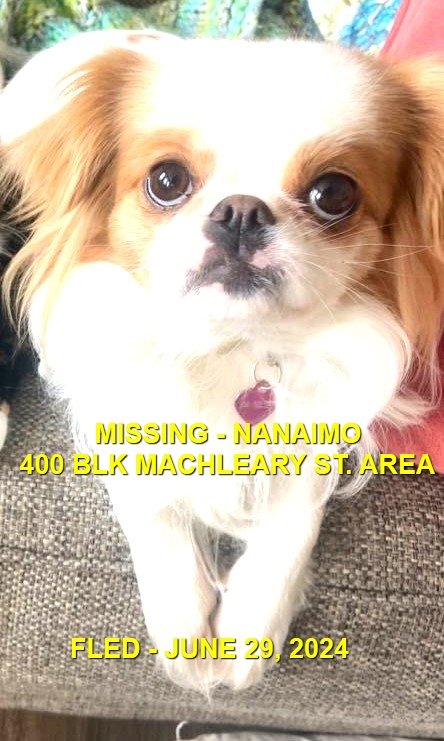 HAPPY ENDINGS - NANAIMO BC. / BRLLA / JUNE 29, 2024