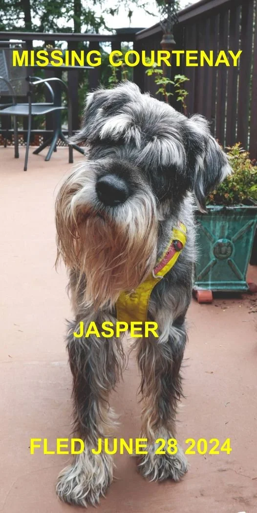 HAPPY ENDINGS - COURTENAY BC. / JASPER / JUNE 28, 2024