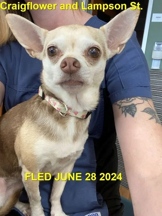 HAPPY ENDINGS - VICTORIA BC. / JUNE 28, 2024