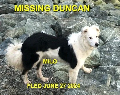 HAPPY ENDINGS - DUNCAN BC. / MILO / JUNE 27, 2024