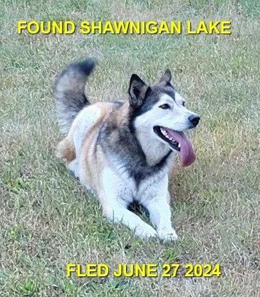 HAPPY ENDINGS - SHAWNIGAN LAKE BC. / JUNE 27, 2024