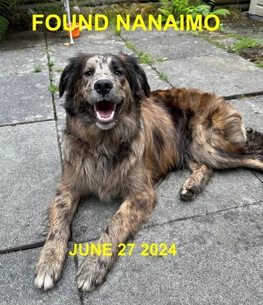 HAPPY ENDINGS - NANAIMO BC. / MARSHA / JUNE 27, 2024