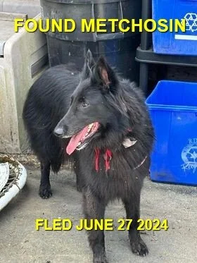 HAPPY ENDINGS - METCHOSIN BC. / JUNE 27, 2024