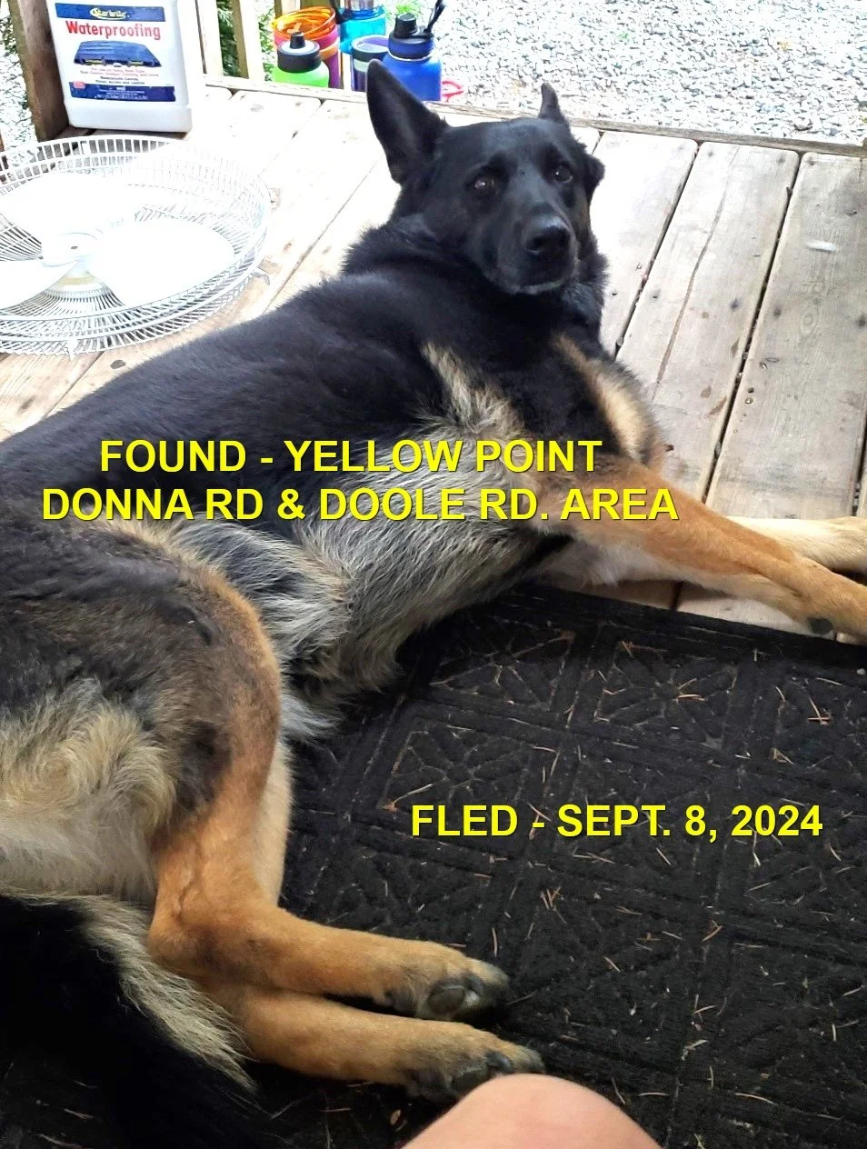 HAPPY ENDINGS - YELLOW POINT BC. / SEPT. 8, 2024