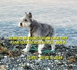 HAPPY ENDINGS - VICTORIA BC. / KAYLA / SEPT 8, 2024