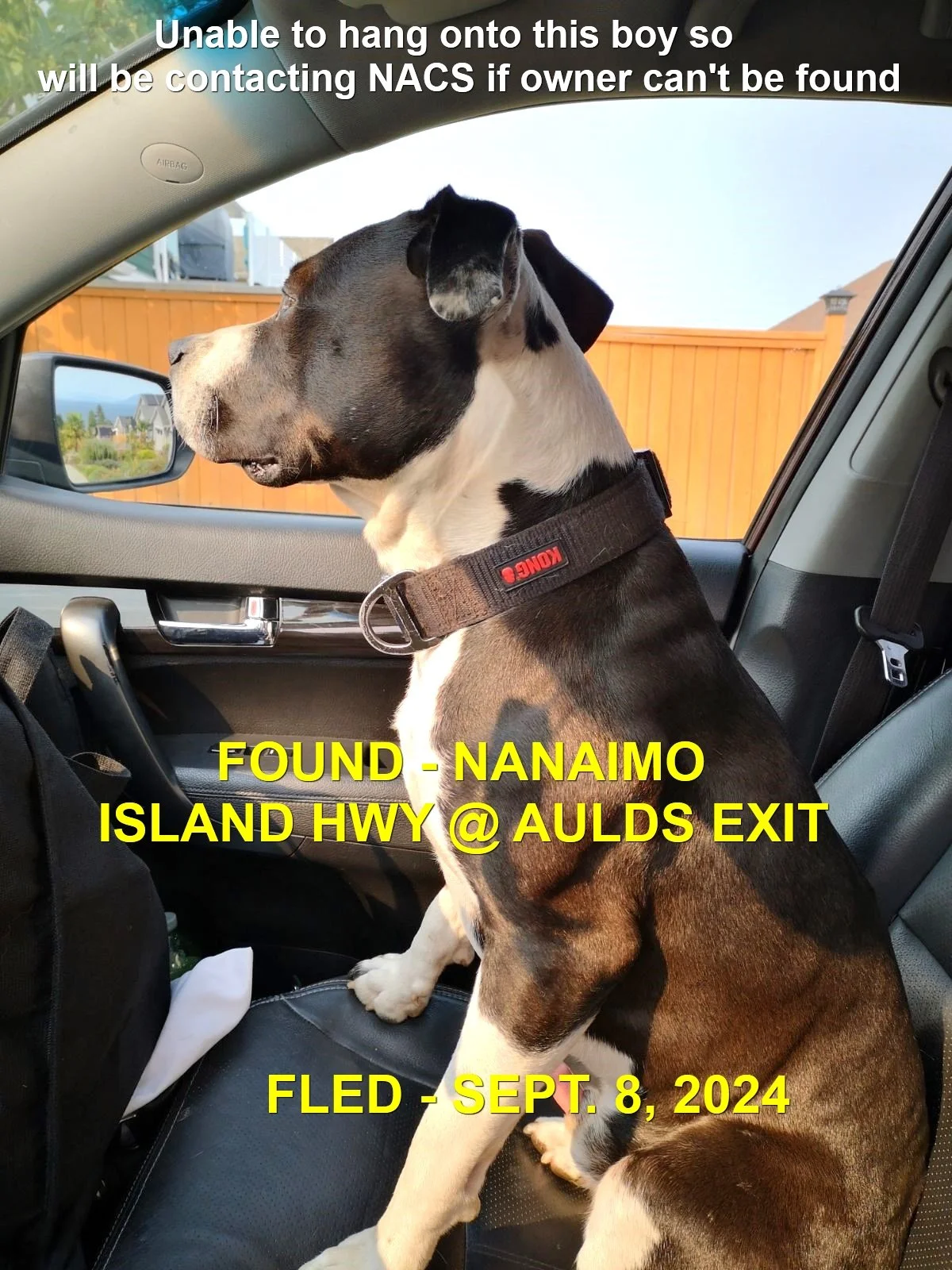 HAPPY ENDINGS - NANAIMO BC. / SEPT 8, 2024