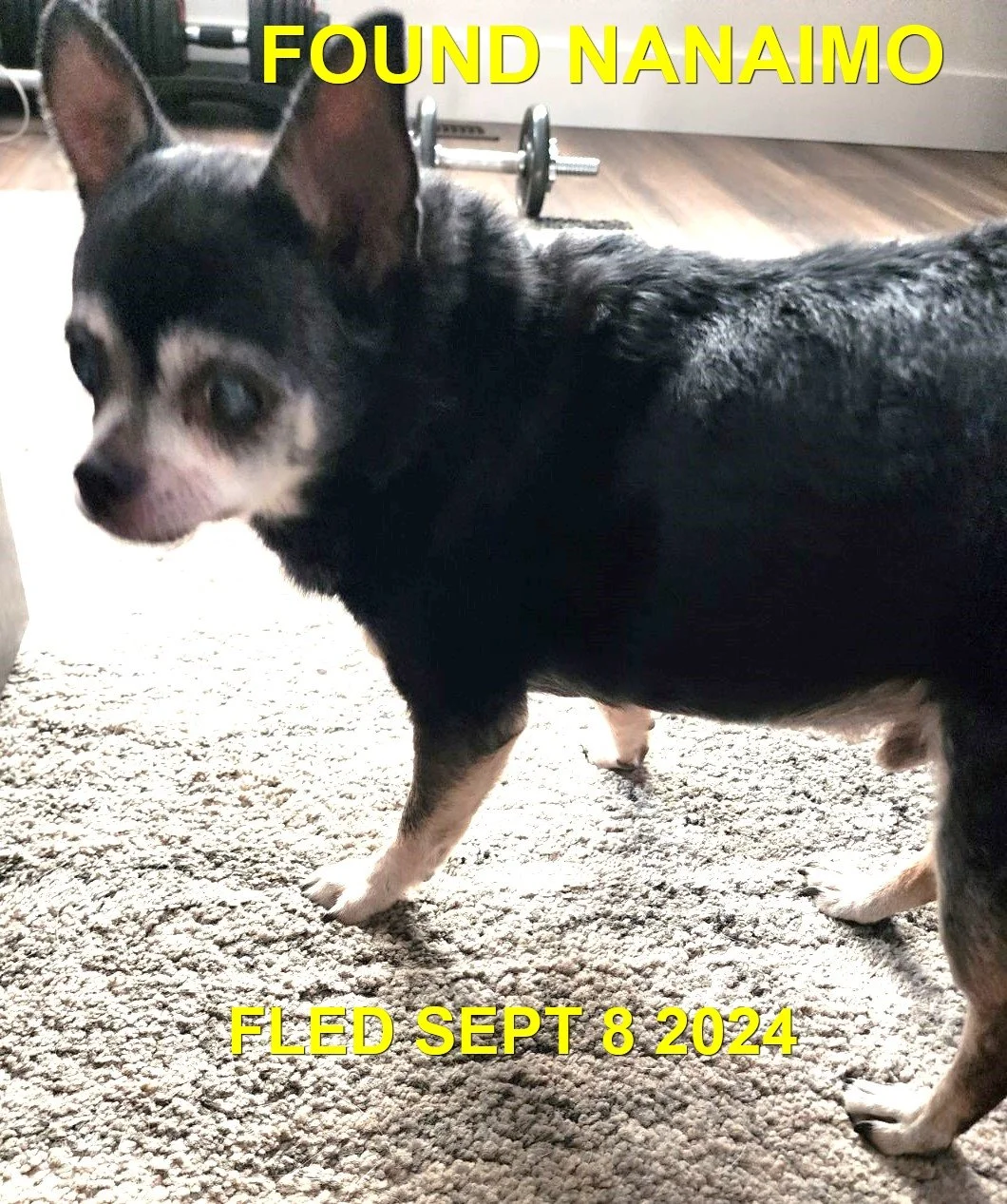 HAPPY ENDINGS - NANAIMO BC. / DAVE / SEPT 8, 2024