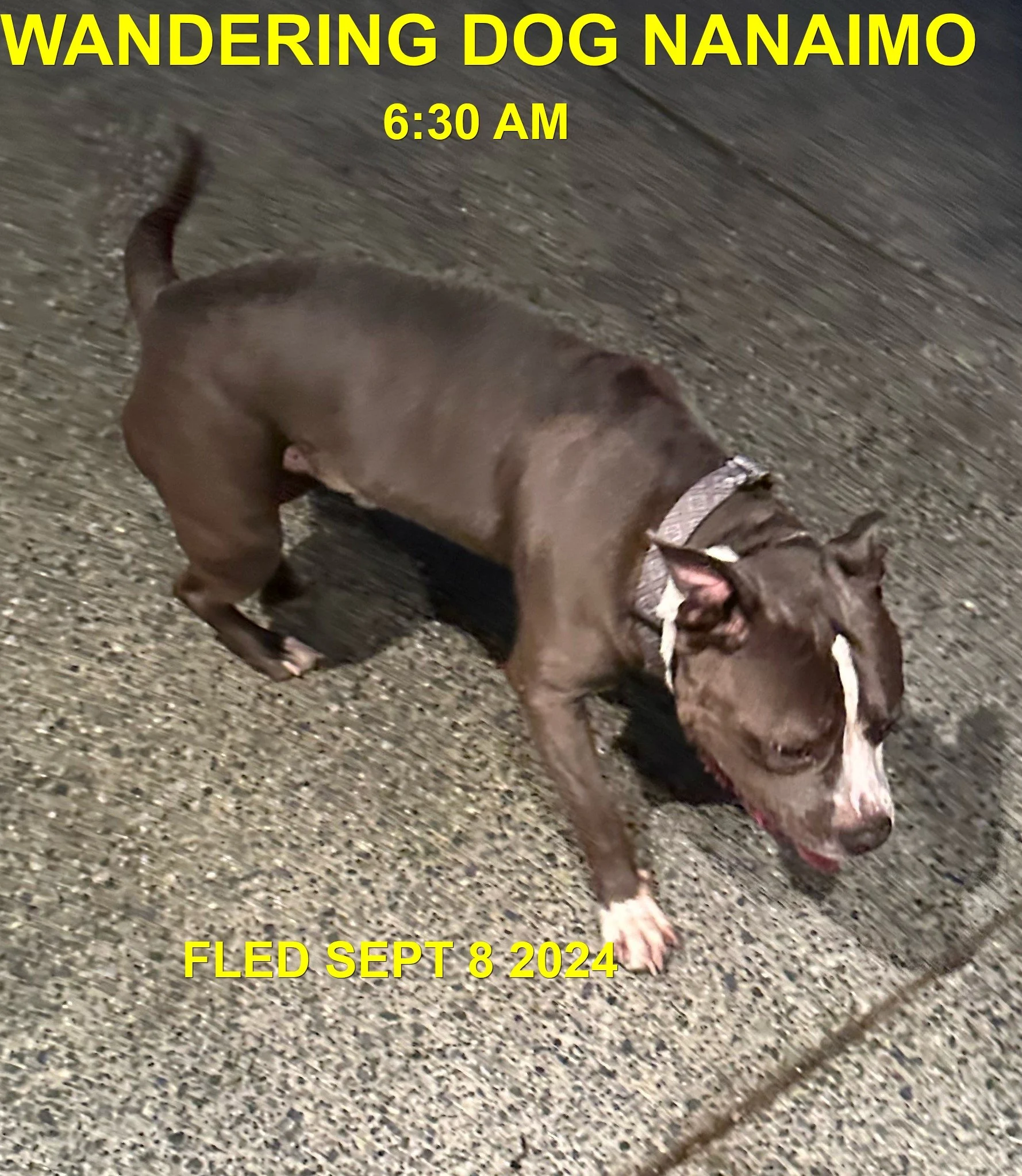 HAPPY ENDINGS - NANAIMO BC. / SEPT. 8, 2024