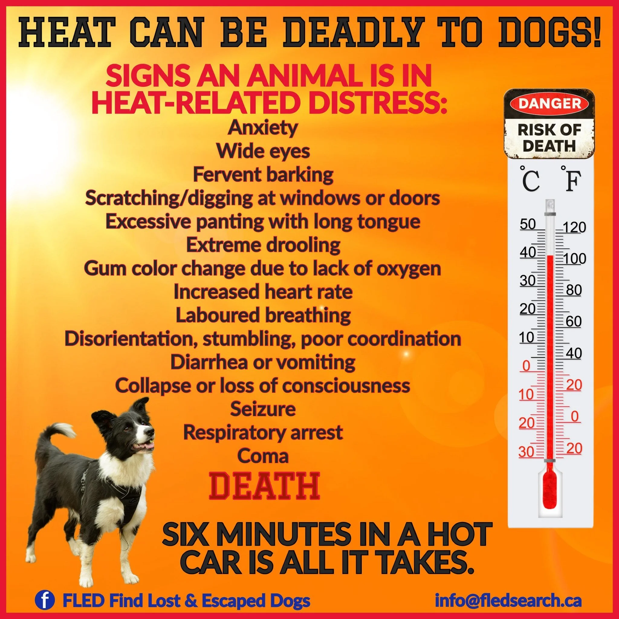 PSA - HEAT / DOGS = DEATH