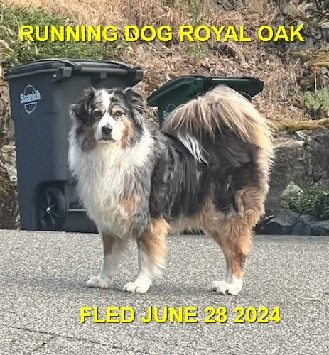 UNRESOLVED - SAANICH BC. / JUNE 28, 2024