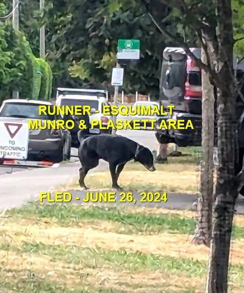 UNRESOLVED - ESQUIMALT BC. / JUNE 26, 2024