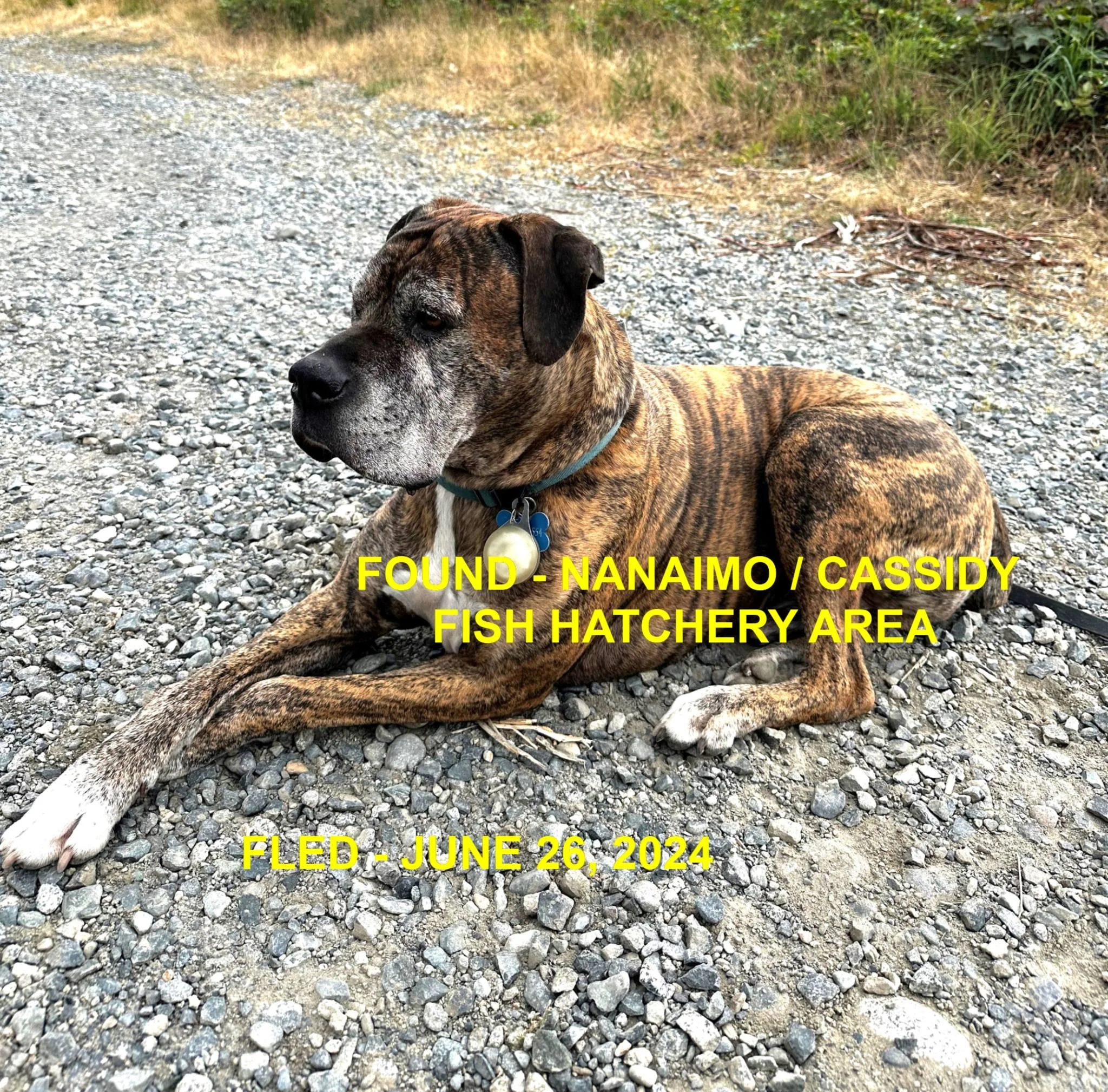 UNRESOLVED - NANAIMO BC. / JUNE 26, 2024