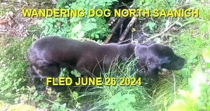 UNRESOLVED - N. SAANICH BC. / JUNE 26, 2026
