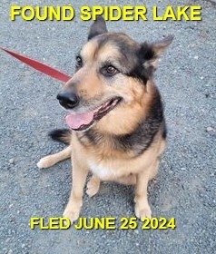 HAPPY ENDINGS - NANAIMO BC. / JUNE 24, 2024