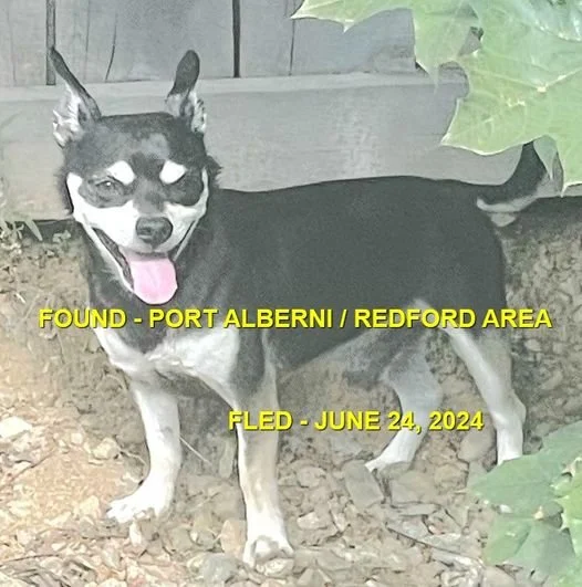 HAPPY ENDINGS - PORT ALBERNI BC. / JUNE 24, 2024