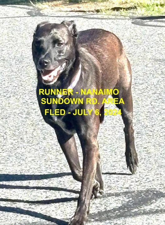 UNRESOLVED - NANAIMO BC. / JULY 6, 2024