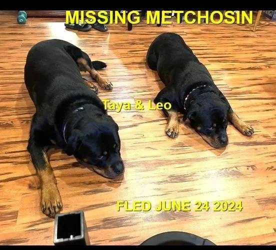 HAPPY ENDINGS - METCHOSIN BC. / TAYA &amp; LEO / JUNE 24, 2024