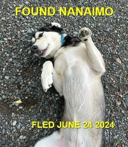 HAPPY ENDINGS - NANAIMO BC. / JUNE 24, 2024