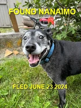 GONE TO SHELTER - NANAIMO BC. / JUNE 23, 2024