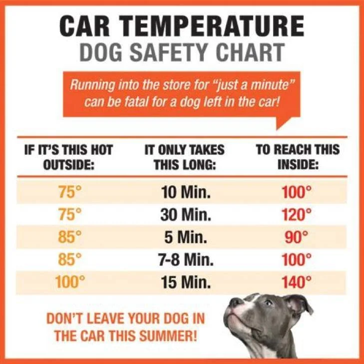 PSA - HOT CAR WARNINGS