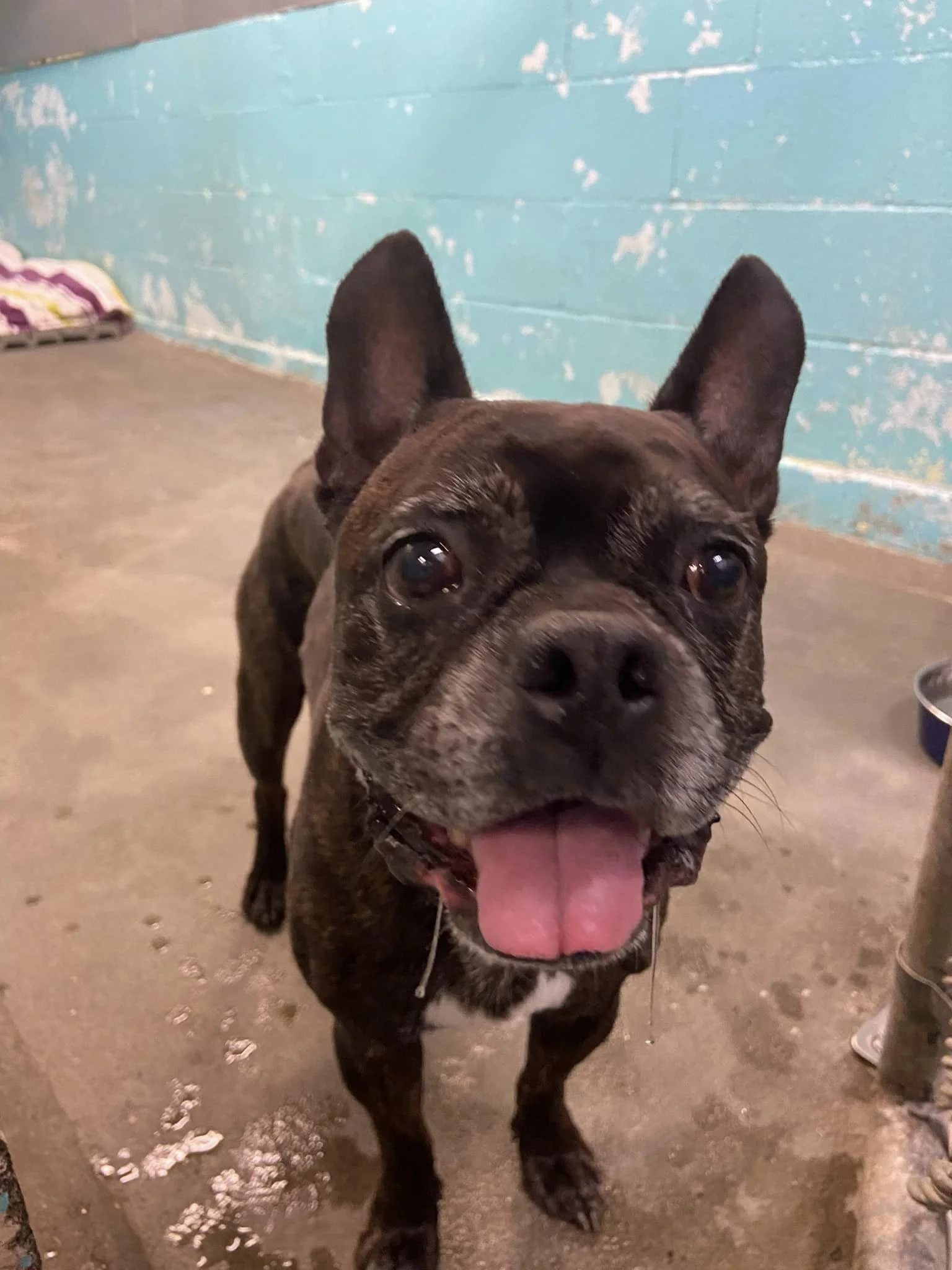 GONE TO SHELTER / HAPPY ENDING - NANAIMO BC. / APRIL 18, 2024