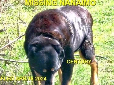 HAPPY ENDINGS - NANAIMO BC. / CENTURY / APRIL 16, 2024