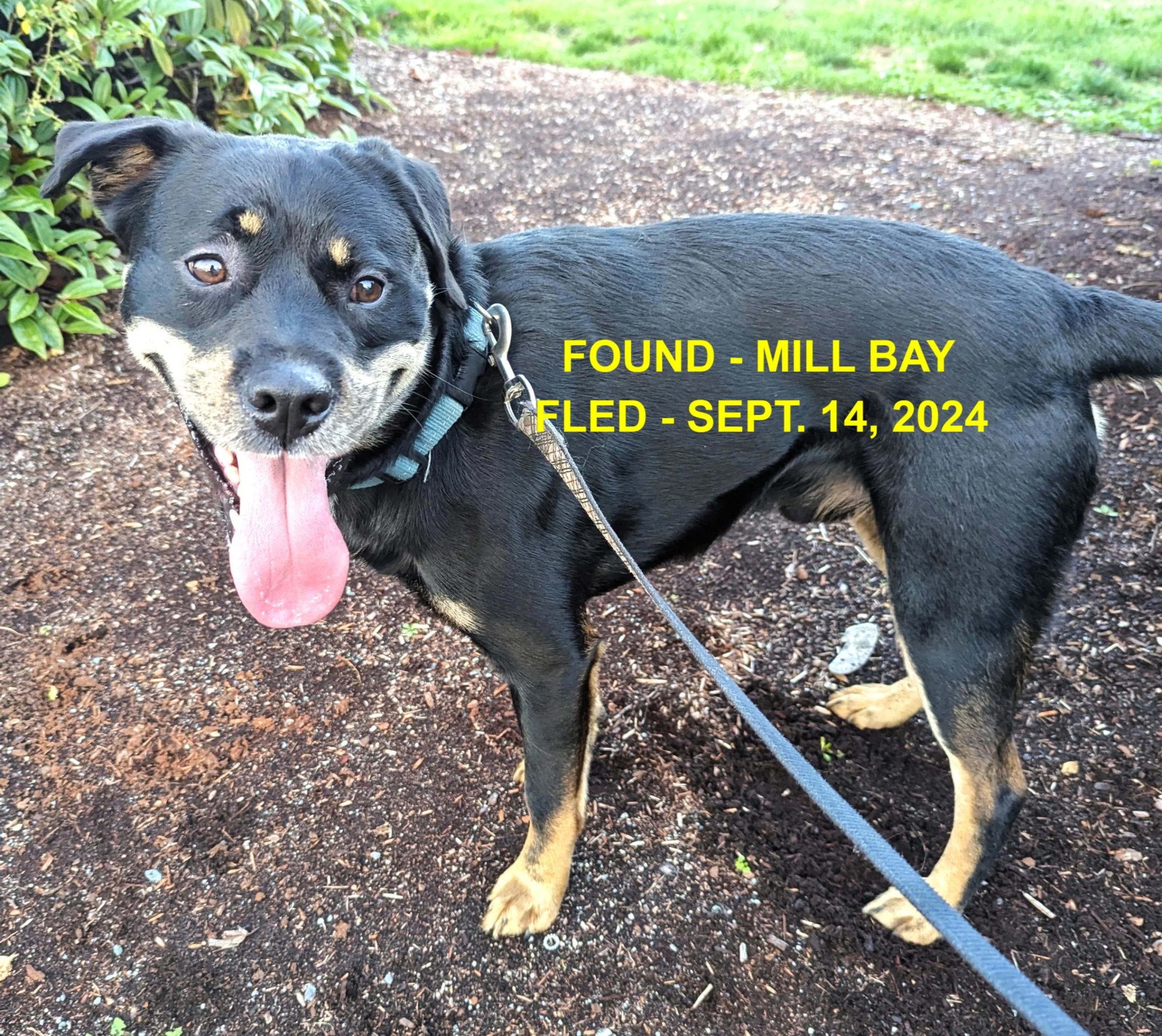 HAPPY ENDINGS - MILL BAY BC. / SEPT 14, 2024