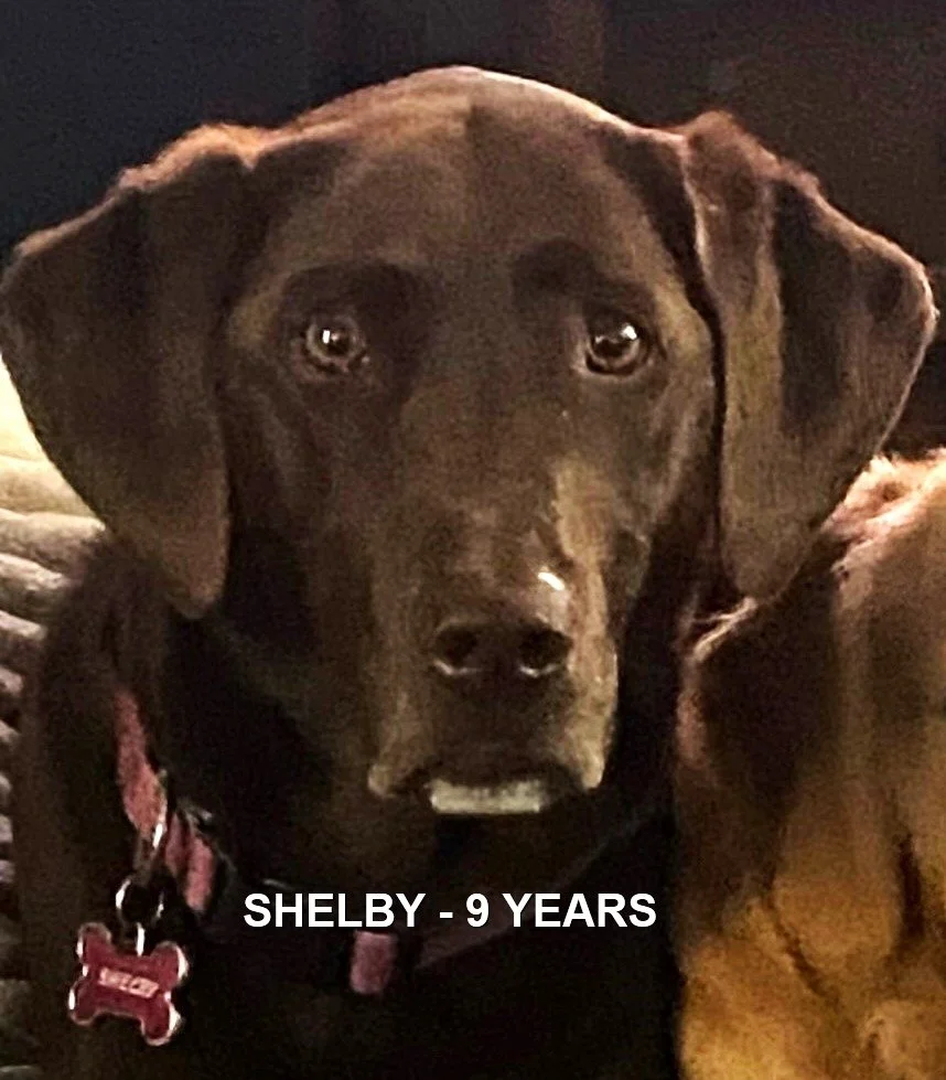 HAPPY ENDINGS - NANAIMO (CASSIDY) BC. / SHELBY / SEPT 12, 2024