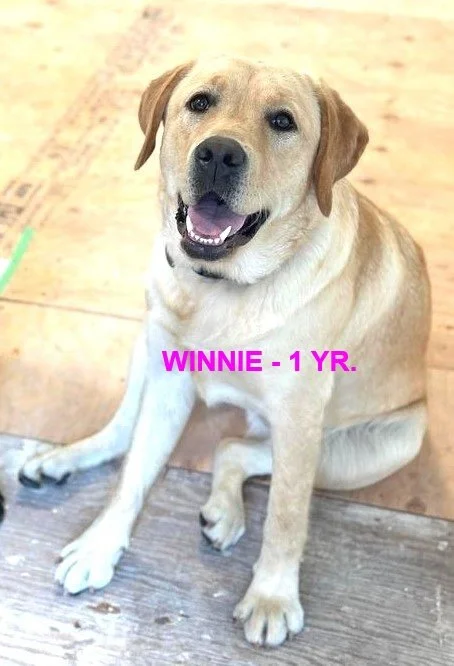 HAPPY ENDINGS - CENTRAL SAANICH BC. / WINNIE / SEPT 12, 2024