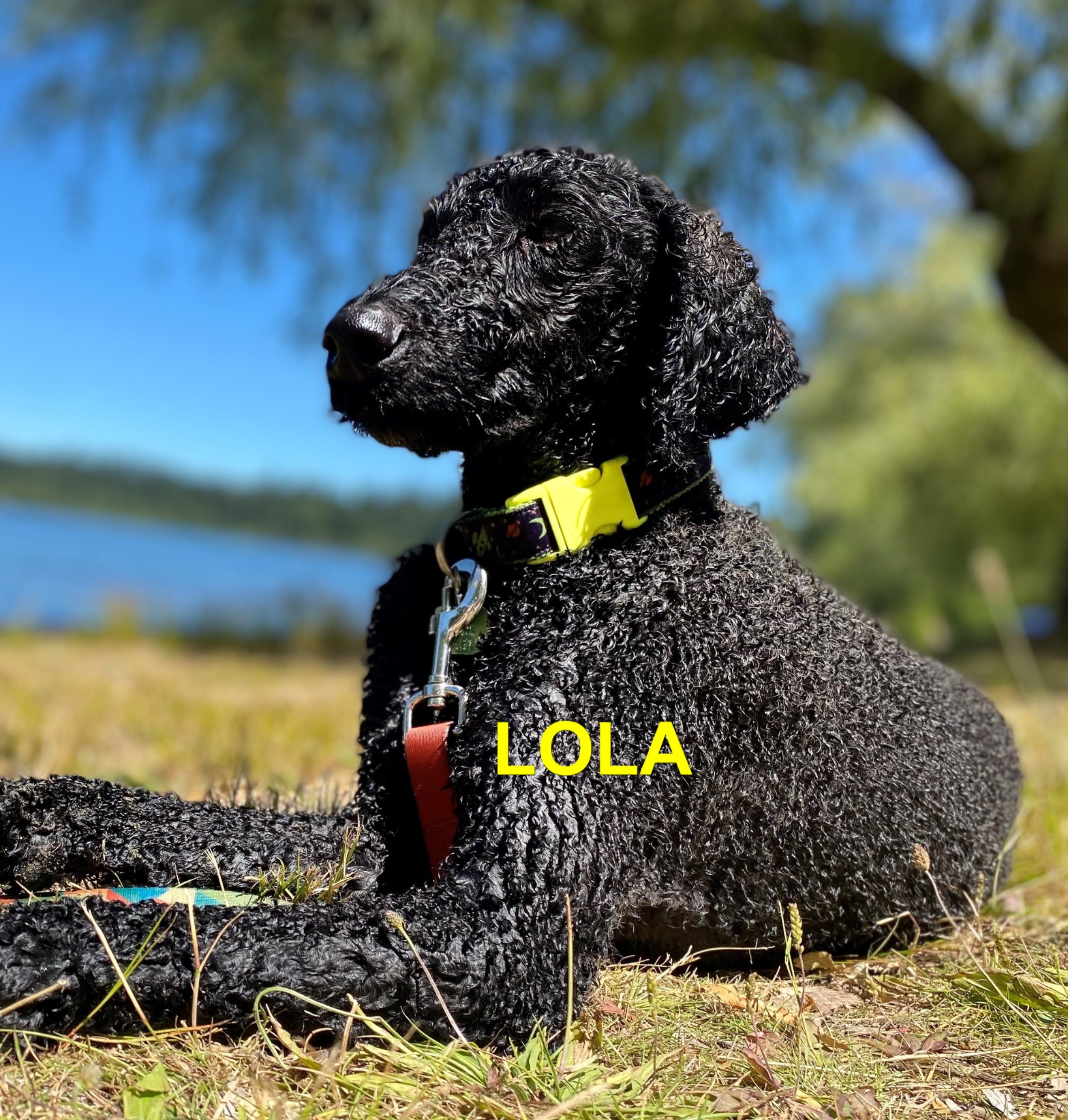 HAPPY ENDINGS - VICTORIA BC. / LOLA / SEPT 11, 2024