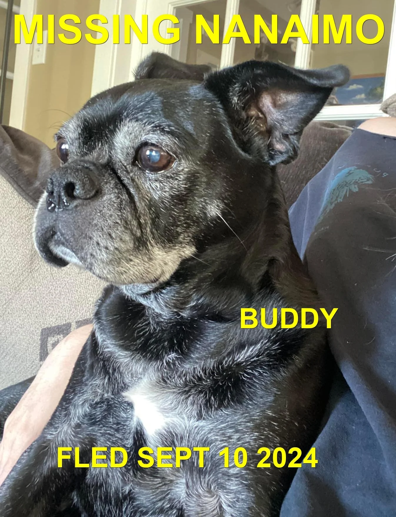 HAPPY ENDINGS - NANAIMO BC. / BUDDY / SEPT 9, 2024