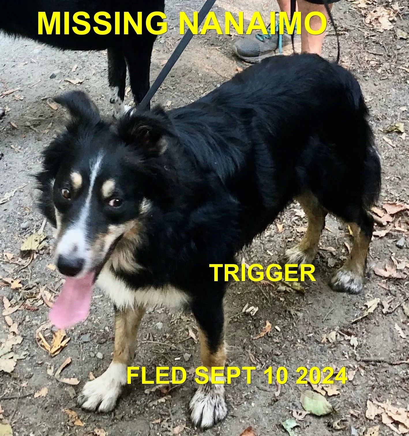 HAPPY ENDING - NANAIMO BC. / TRIGGER / SEPT 9, 2024