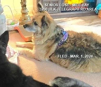 HAPPY ENDINGS - MILL BAY BC. / BAYLEE / MAR. 1, 2024