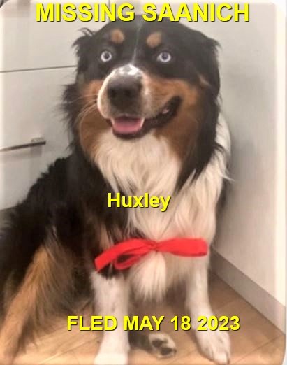 HAPPY ENDINGS - SAANICH BC. / HUXLEY / MAY 18, 2024