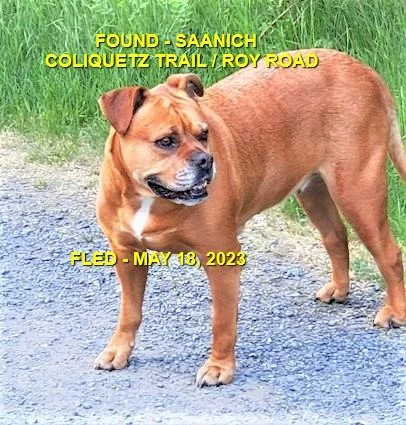 HAPPY ENDINGS- SAANICH BC. / MAY 18, 2023