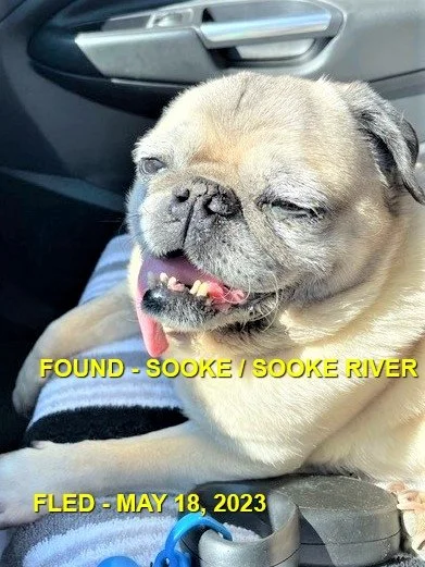 HAPPY ENDINGS - SOOKE BC. / MAY 18, 2023