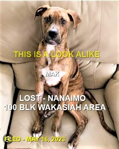 GONE TO SHELTER - GONE HOME - NANAIMO BC. / MACK / MAY 16, 2023