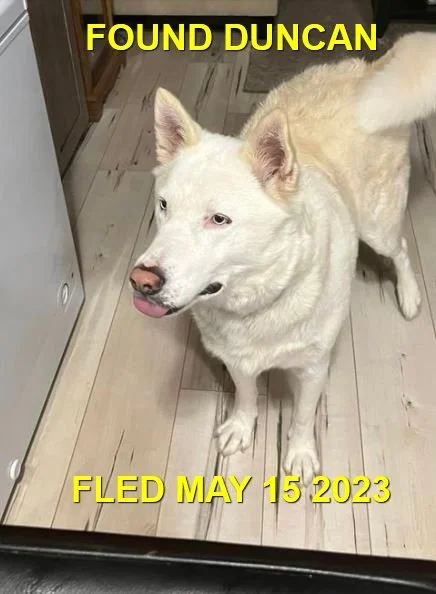 HAPPY ENDINGS - DUNCAN BC. / MAY 15, 2023