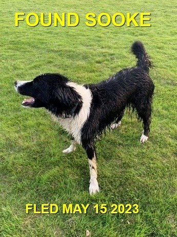 HAPPY ENDINGS - SOOKE BC. / MAY 15, 2023