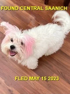 HAPPY ENDINGS - CENTRAL SAANICH BC. / MAY15, 2023