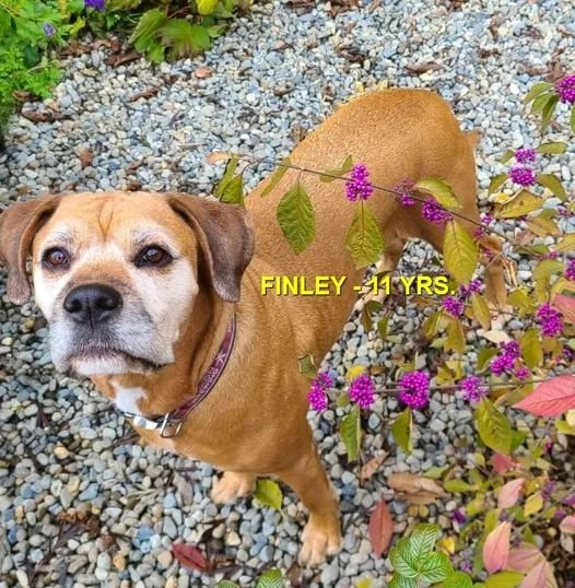 HAPPY ENDINGS - ERRINGTON BC. / FINLEY / MAY 14, 2023