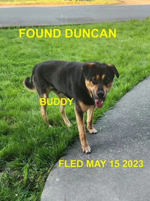 GONE TO SHELTER - GONE HOME - DUNCAN BC. / BLUE / MAY 14, 2023