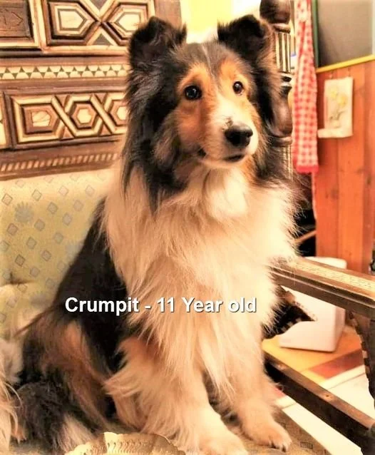 HAPPY ENDINGS - NANAIMO BC. / CRUMPIT / MAY 14, 2023